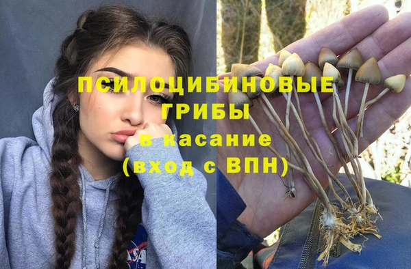 дурь Богданович