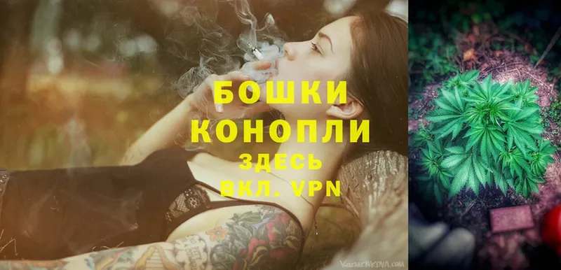 Конопля SATIVA & INDICA  Дзержинский 